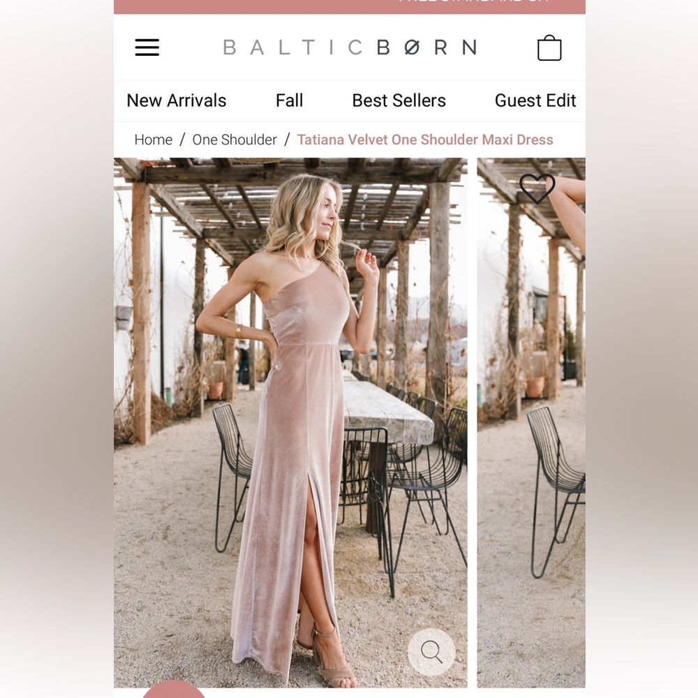 Baltic born velvet dress